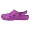Dux Duflex Unisex - Clogs - Violett Brombeer -Anna Field Winkel cd8b8516727e4e9ebe13e6298f285ef4